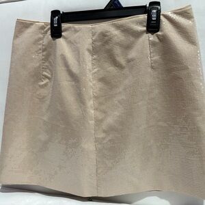 A New Day Shimmering Cream Mini Skirt